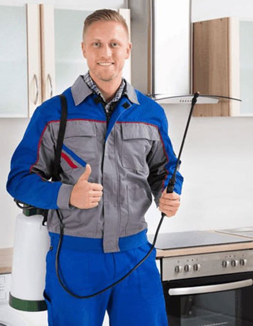 Pest Control Mississauga