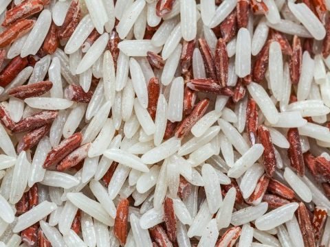 Brown Rice Pest Control