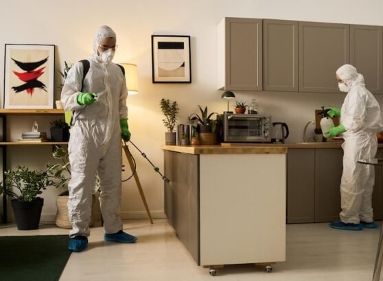 Why Professional Pest Control Service for Bed Bugs Is Essential