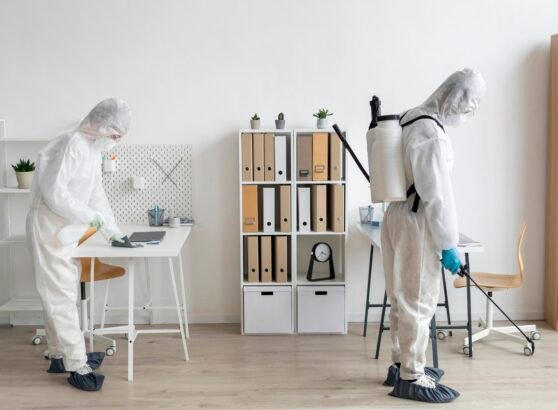 The Most Effective Bed Bug Treatment Options for Homeowners