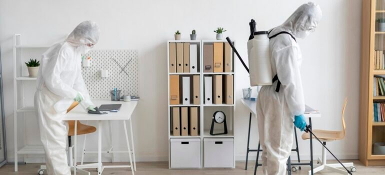 The Most Effective Bed Bug Treatment Options for Homeowners