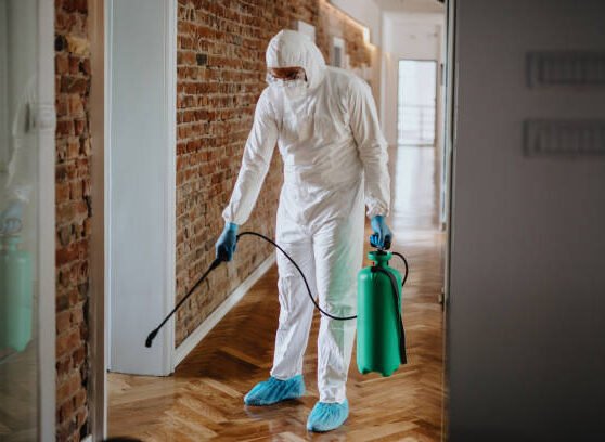 Can Medicine Help Treat Bed Bug Bites