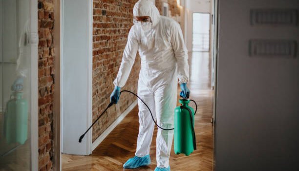 Can Medicine Help Treat Bed Bug Bites