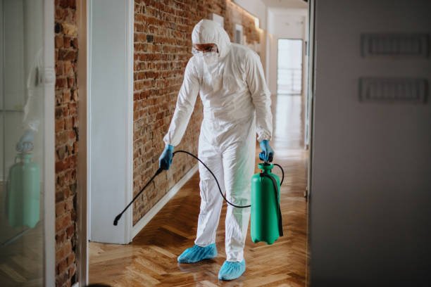 Can Medicine Help Treat Bed Bug Bites