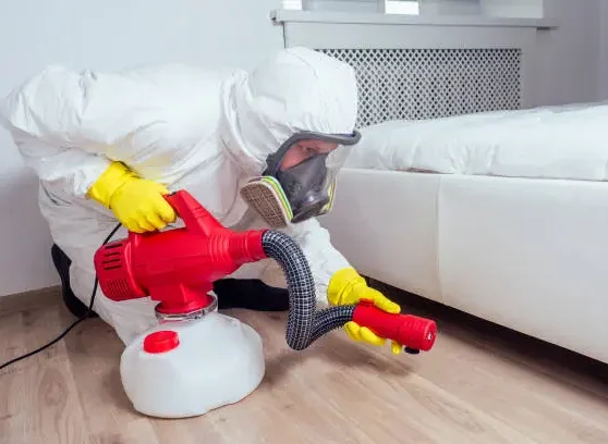 The Pros and Cons of Using Bed Bug Pesticides in Your Home