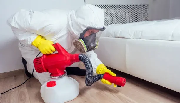 The Pros and Cons of Using Bed Bug Pesticides in Your Home
