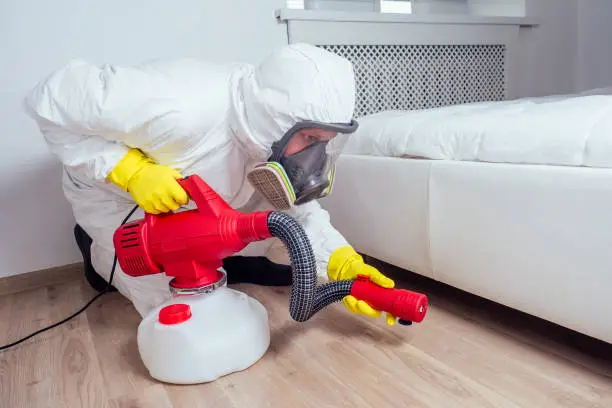 The Pros and Cons of Using Bed Bug Pesticides in Your Home