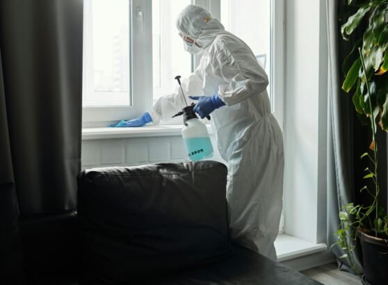 What's the Best Bed Bug Treatment for Canadian Homes