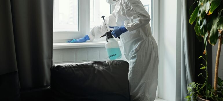 What's the Best Bed Bug Treatment for Canadian Homes