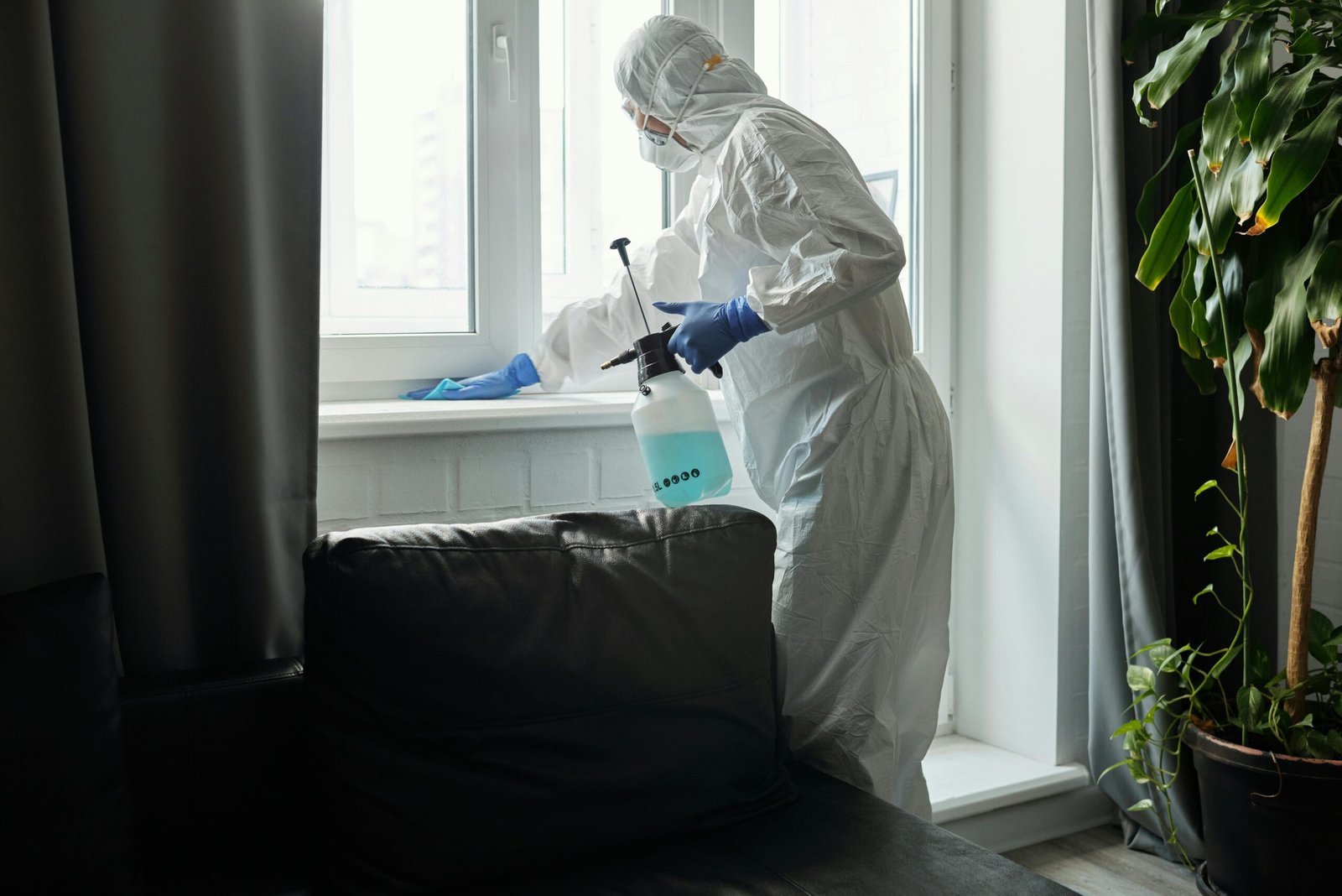 What's the Best Bed Bug Treatment for Canadian Homes