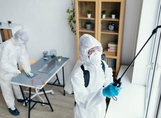 Does Fumigation for Bed Bugs Really Work