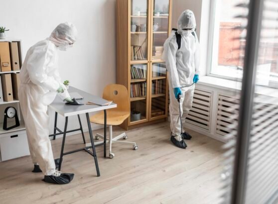 Choosing the Right Bed Bug Company: Key Factors to Consider
