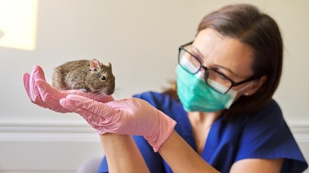 Do All Rodents Carry Hantavirus