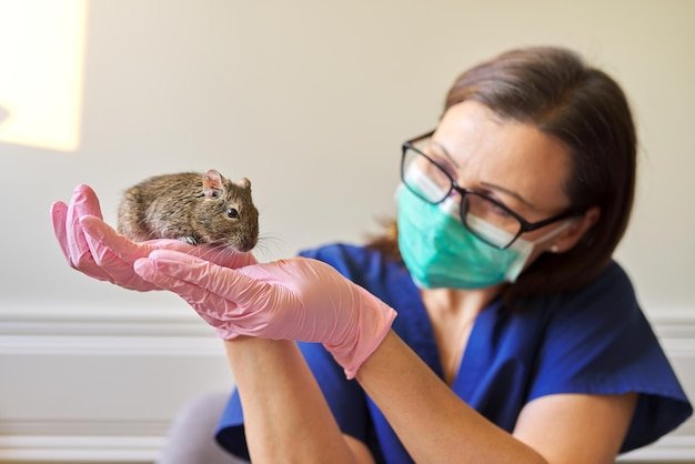 Do All Rodents Carry Hantavirus