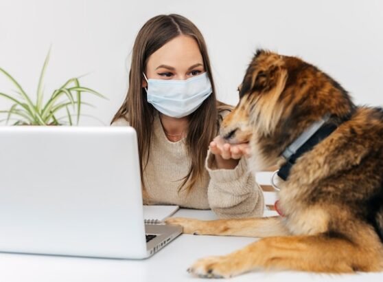 Can Dogs and Cats Be Infected With Hantavirus