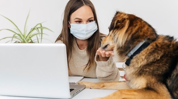 Can Dogs and Cats Be Infected With Hantavirus