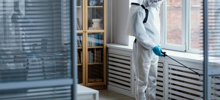 What Makes a Good Cockroach Killer? A Comprehensive Guide