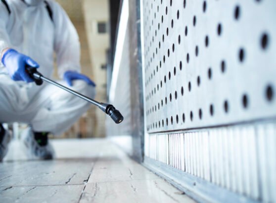 How Cockroach Poison Can Help Eliminate Infestations in Your Home