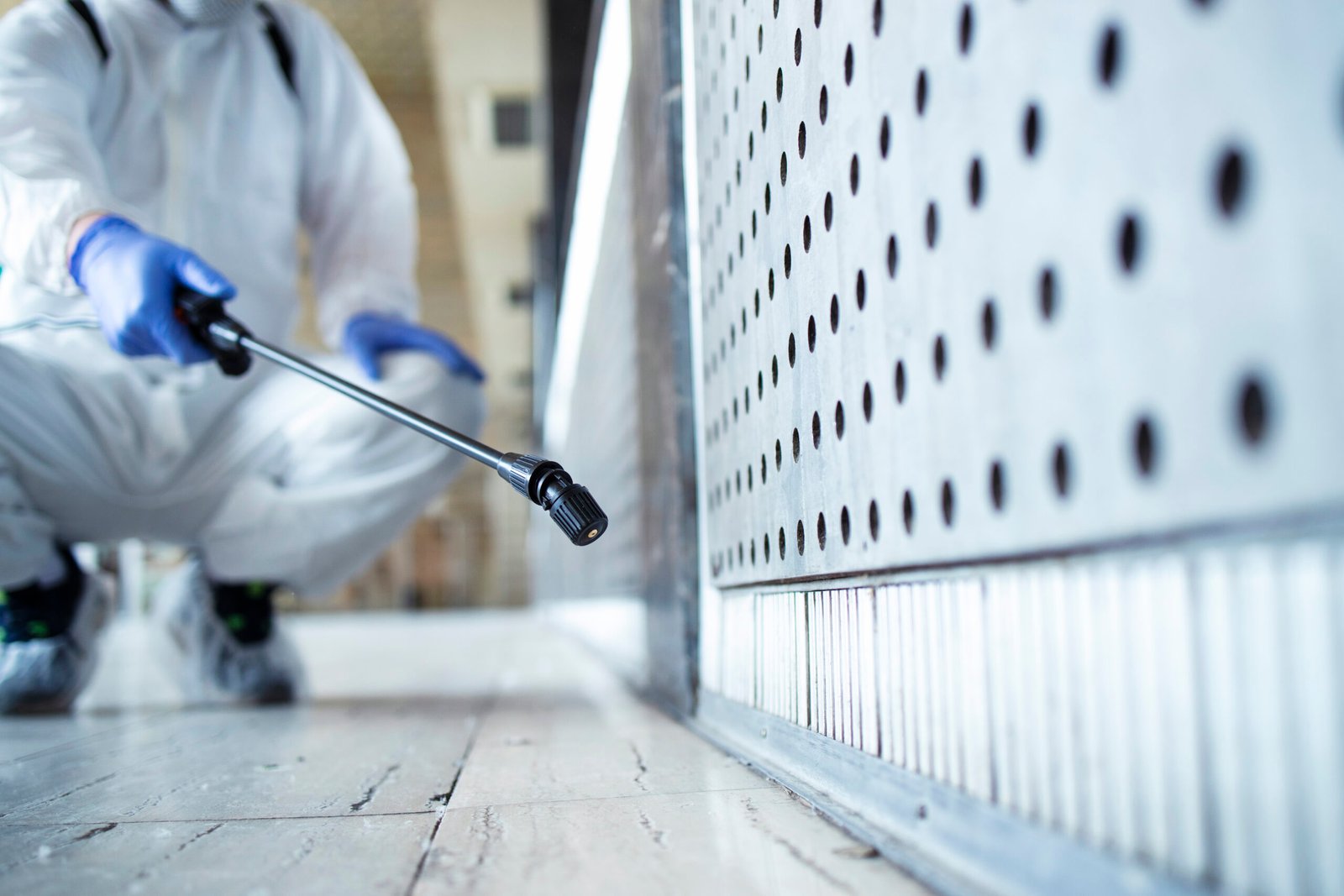 How Cockroach Poison Can Help Eliminate Infestations in Your Home