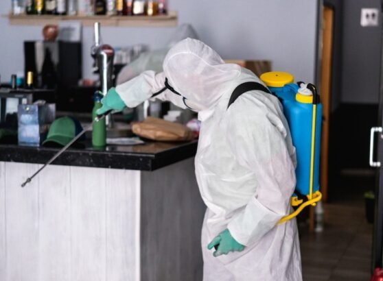 What’s the Best Cockroach Killer for Long-Term Pest Control