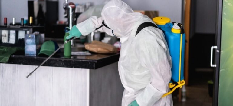 What’s the Best Cockroach Killer for Long-Term Pest Control