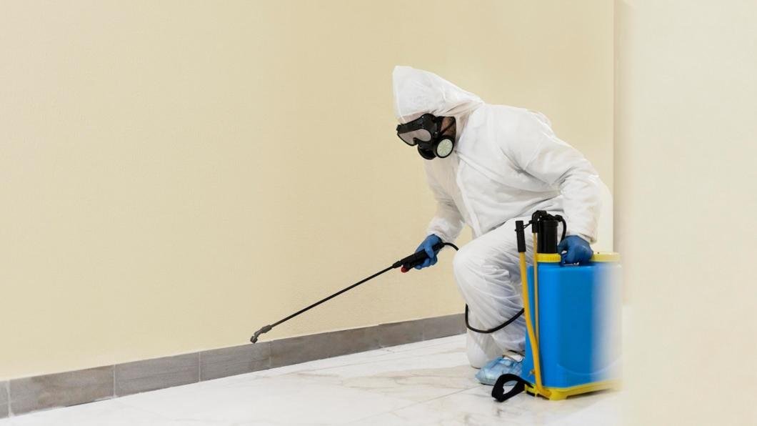 Natural Cockroach Deterrents: How to Keep These Pests Away