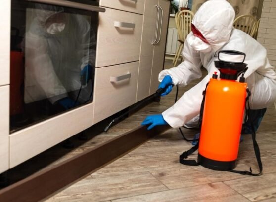 How Cockroach Spray Works and When to Use It for Maximum Effectiveness