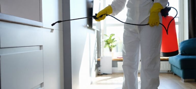 How Pest Control Spray Works to Eliminate Household Pests