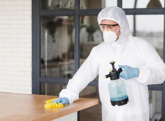 How to Use Insect Control Spray Safely in Your Home